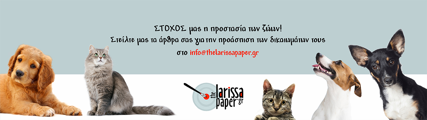 banner-animal-1366×385