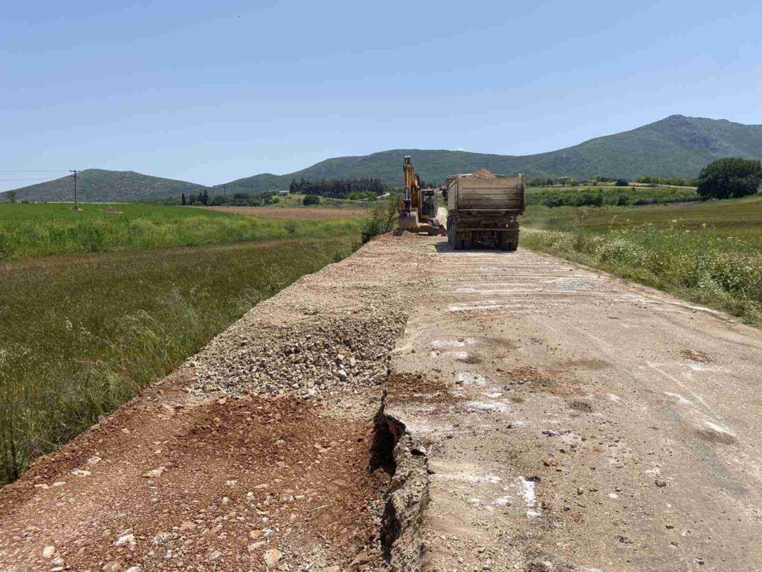 neraida_farsala dromoos 1 (4)