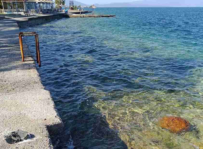 Βόλος: Νεκρή γυναίκα εντοπίστηκε σε ακτή της Αγριάς – Επέπλεε η σορός της