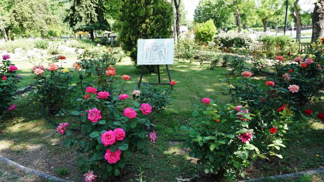 votanikos kipos main ξεναγήσεις σχολείων στον βοτανικό κηπο Λάρισας