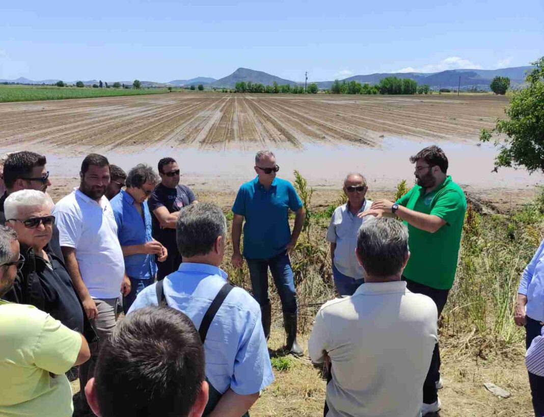 χαλάζι Φάρσαλα κλιμάκιο ΕΛΓΑ