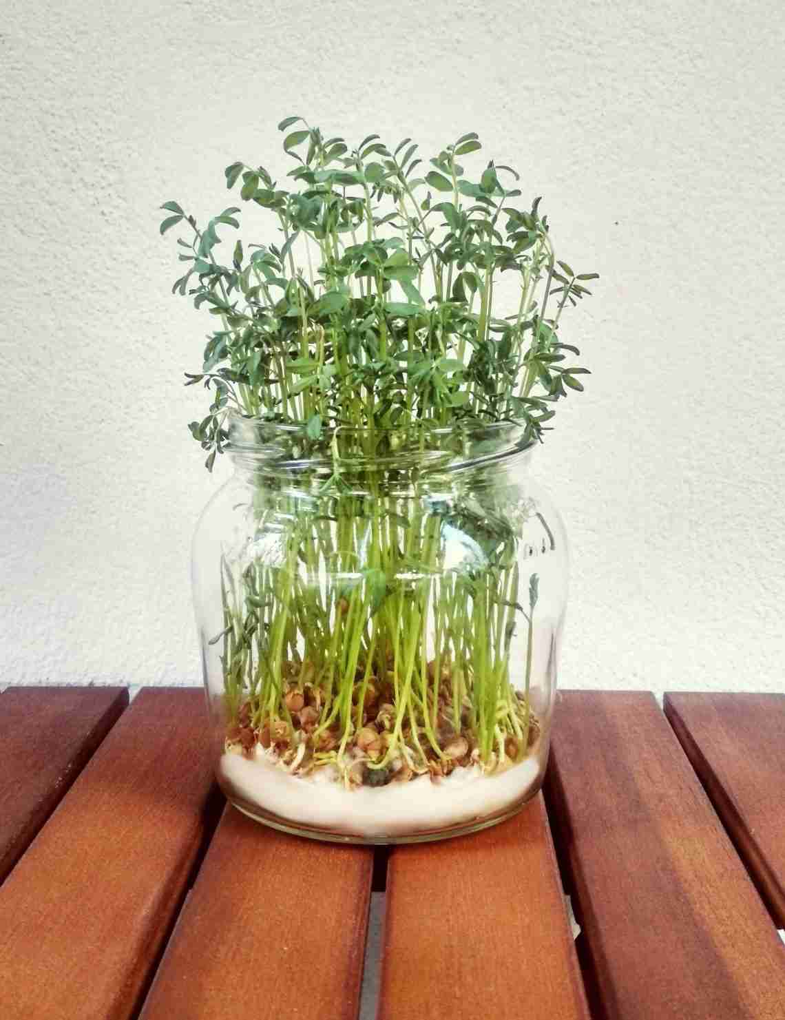 κοινωνικό ΕΚΑΒΦΕΣΤΙΒΑΛ ΠΗΝΕΙΟΥ 2022