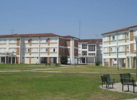 panepistimio_thessalias