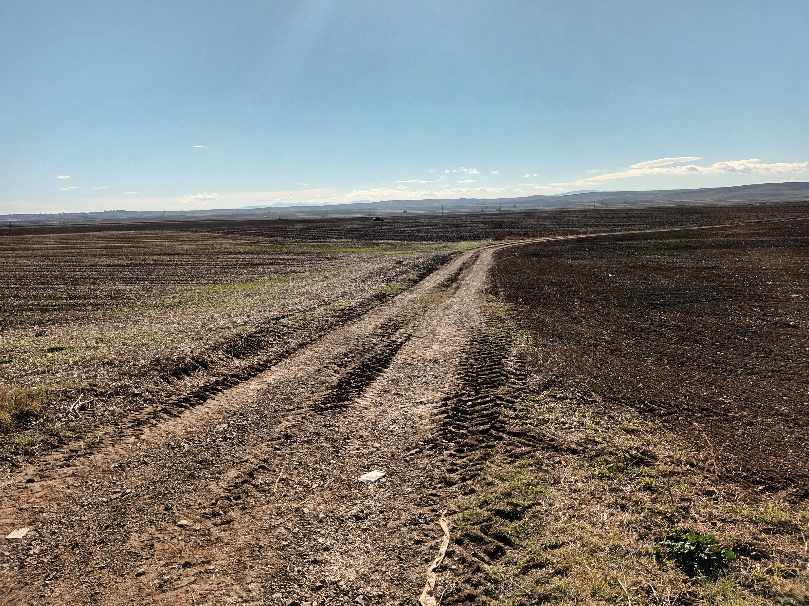 Πενήντα αποχρώσεις του καφέ στη Λάρισα