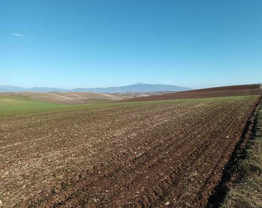 Πενήντα αποχρώσεις του καφέ στη Λάρισα