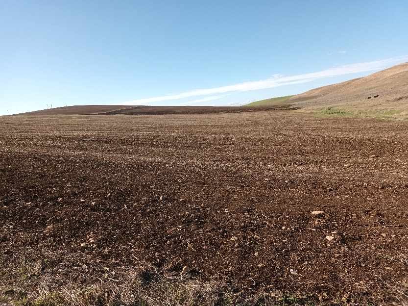 Πενήντα αποχρώσεις του καφέ στη Λάρισα