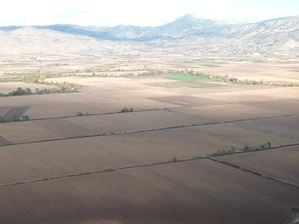 Πενήντα αποχρώσεις του καφέ στη Λάρισα