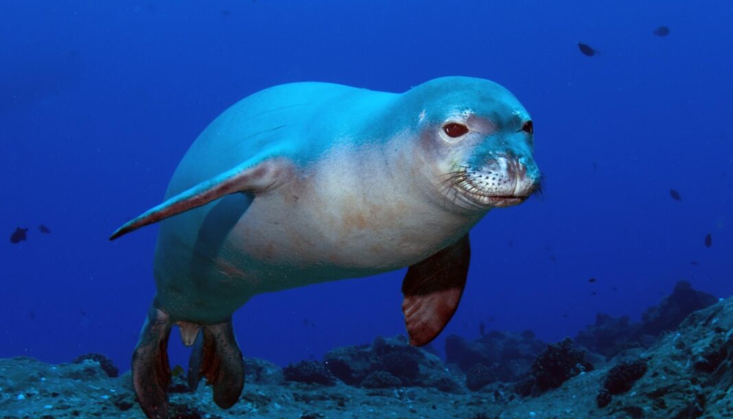 ευρωπαϊκό πρόγραμμα LIFE