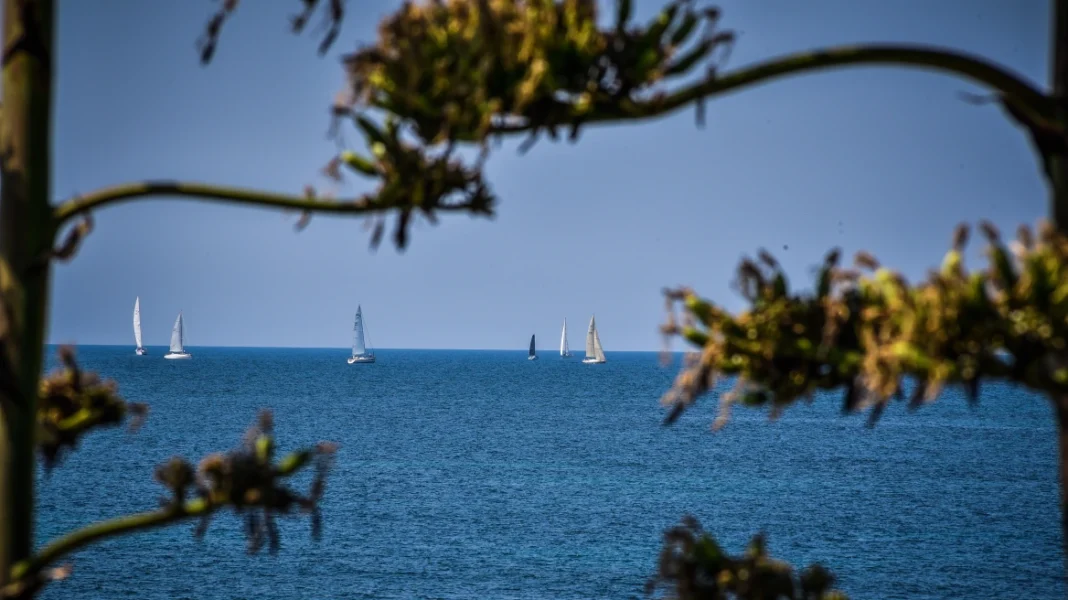 thalassa 2