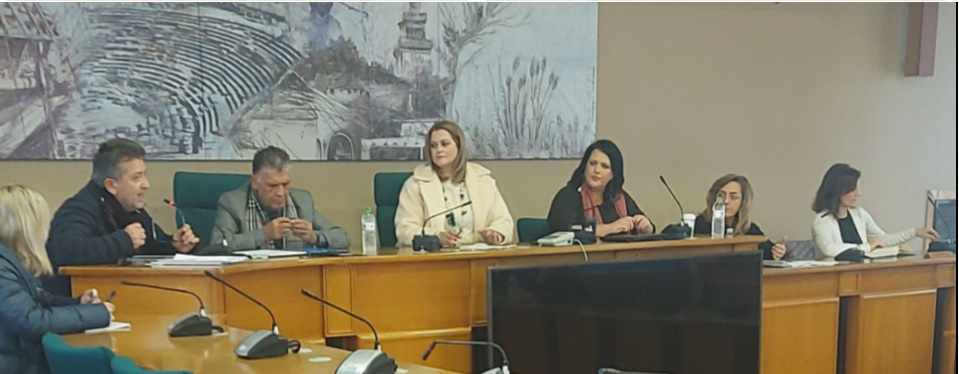 Τοπικά σχέδια δράση για τους Ρομά