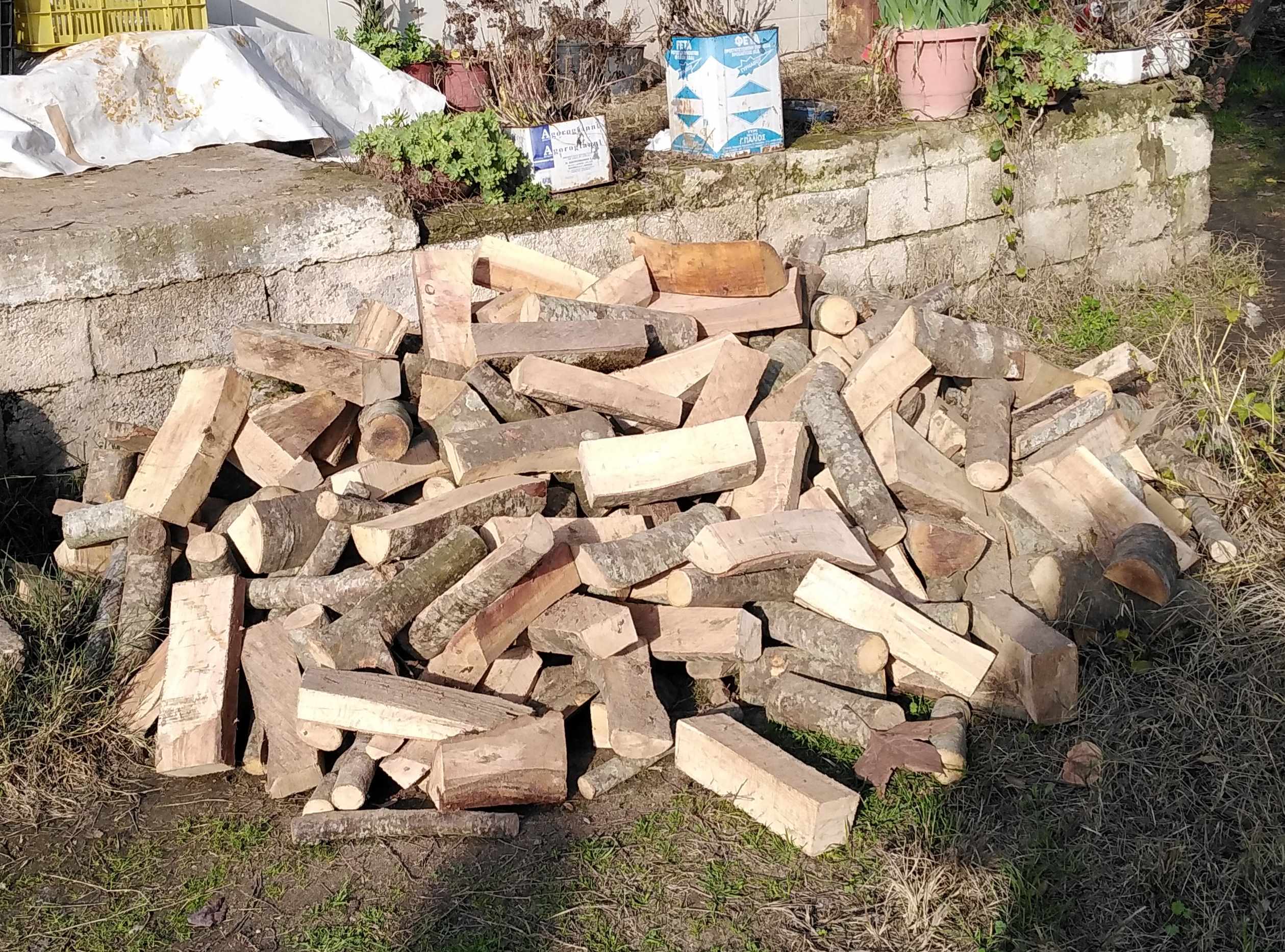 Η «Η ΑΡΩΓΗ» μοίρασε τρόφιμα και ξύλα σε οικογένειες του Αμπελώνα και του Βρυοτόπου