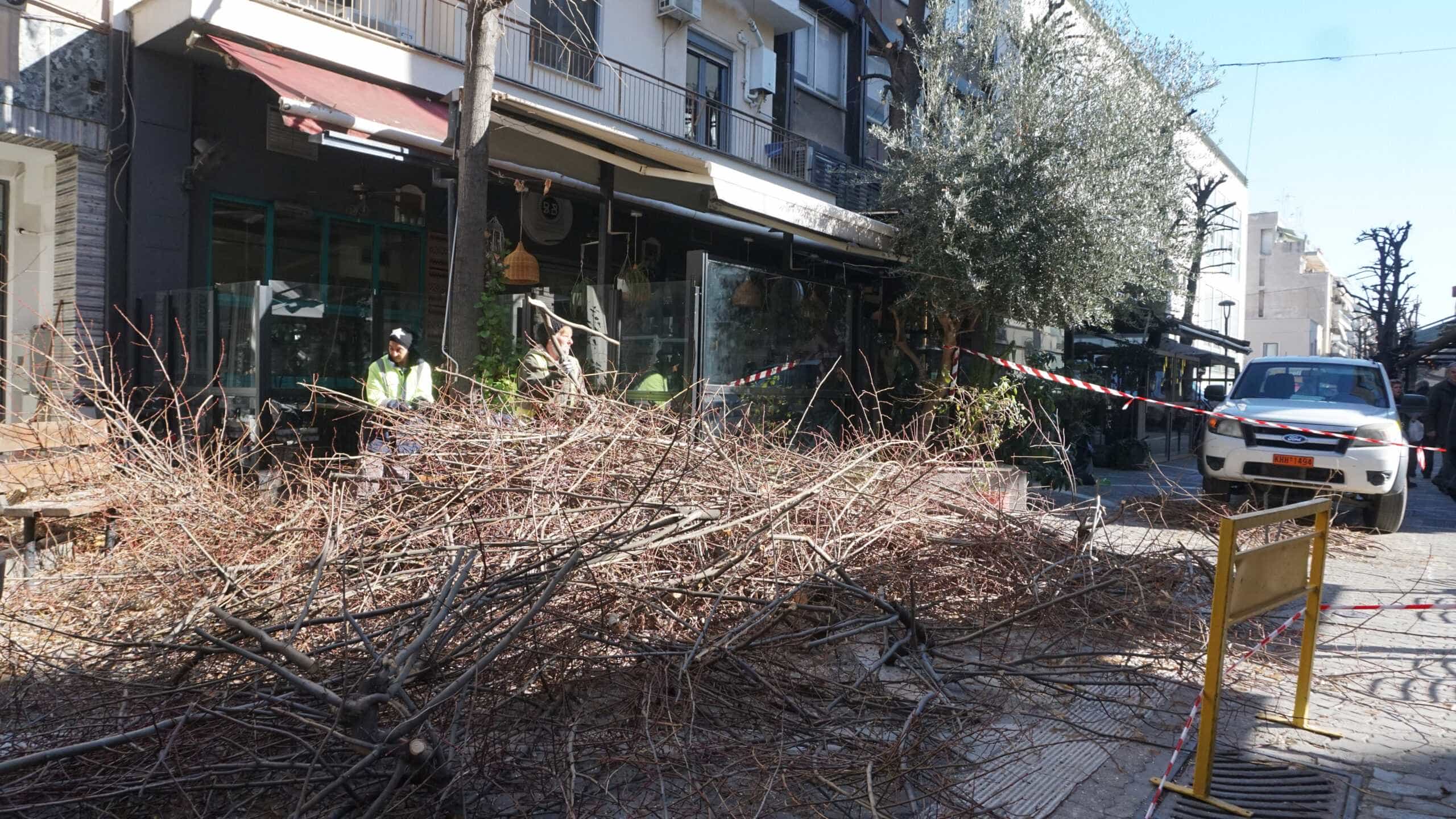 Κλαδέματα δένδρων στο κέντρο της πόλης