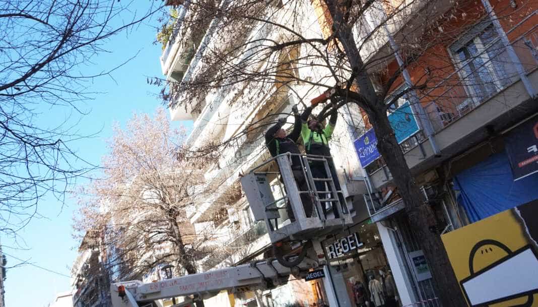 Κλαδέματα δένδρων στο κέντρο της πόλης