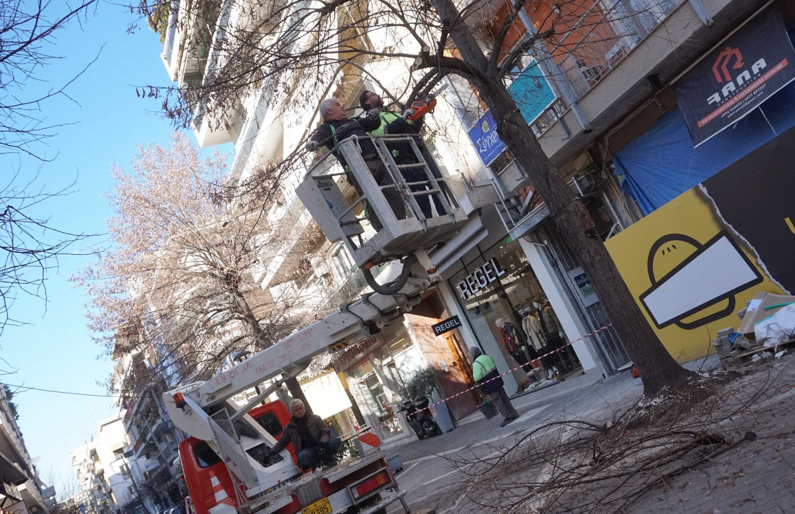 Κλαδέματα δένδρων στο κέντρο της πόλης