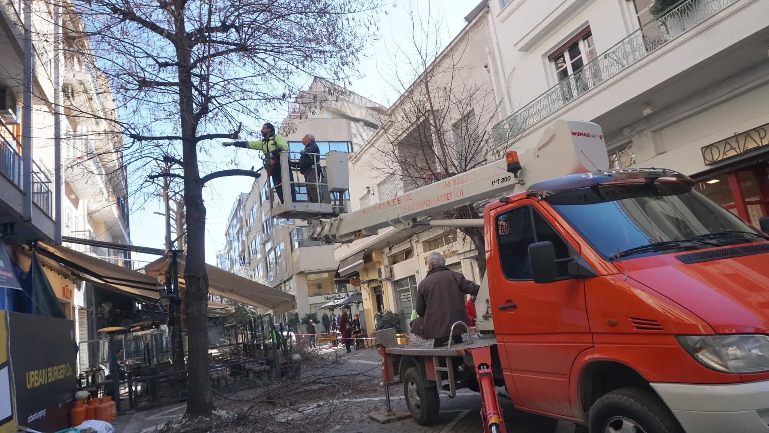 Κλαδέματα δένδρων στο κέντρο της πόλης
