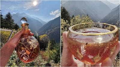 Το πιο ακριβό μέλι στον κόσμο