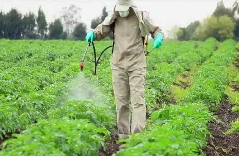 μη ορθολογικής χρήσης φυτοπροστατευτικών προϊόντων