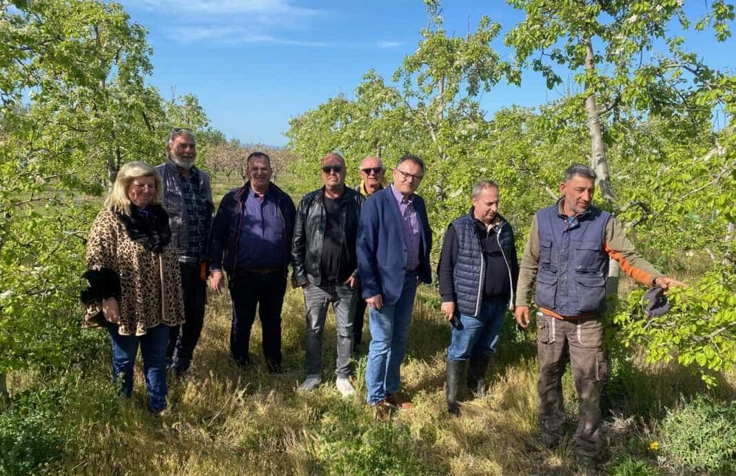 ΕΛΓΑ Ζημιές 310323 Τεράστια ζημιά σε οπωροφόρα στο Καλαμάκι και στην ευρύτερη περιοχή του Δήμου Κιλελέρ