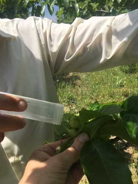 IMG_8683 Περιφέρειας