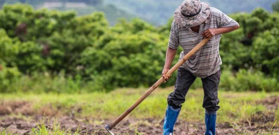 agrotes Σχεδια βελτίωσης αγροτών