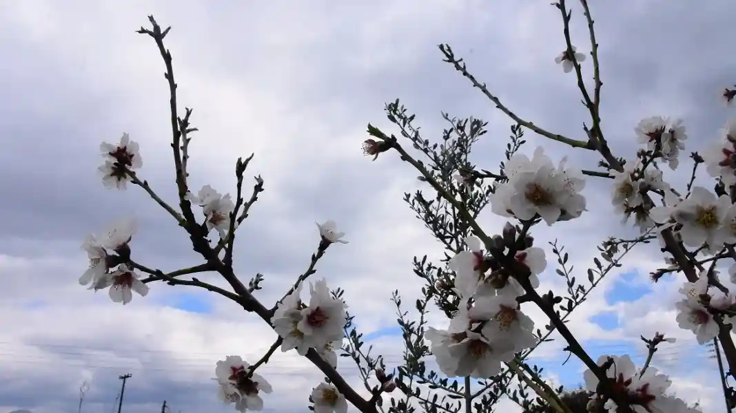 Καιρός Πρωτομαγια