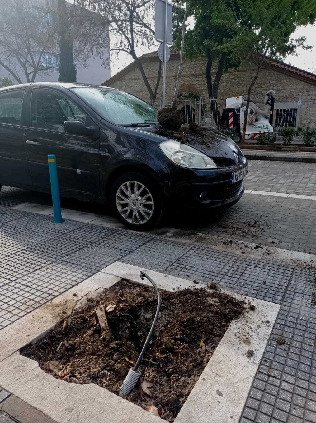 Λάρισα: Έκλεψαν και πάλι ανθόφυτα και δενδρύλια από την Ιουστινιανού