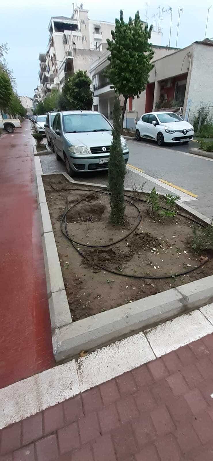 Λάρισα: Έκλεψαν και πάλι ανθόφυτα και δενδρύλια από την Ιουστινιανού