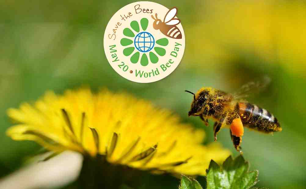 pagkosmia-imera-melissas Παγκόσμια Ημέρα Μέλισσας