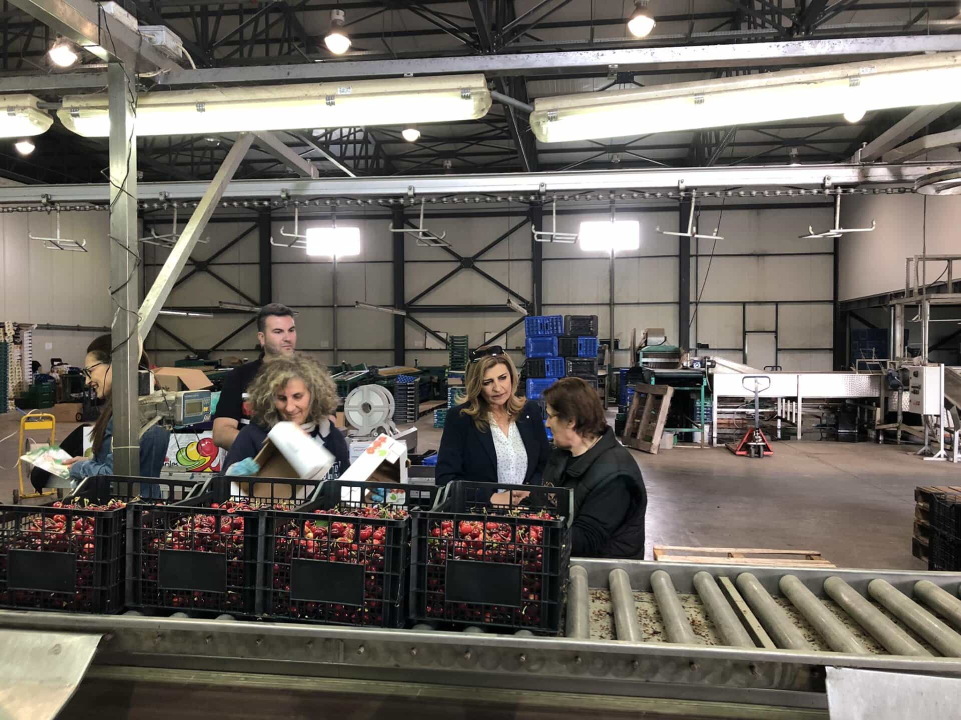 Ε. Λιακούλη: «Οι αγροτικοί συνεταιρισμοί στο παραγωγικό προσκήνιο»