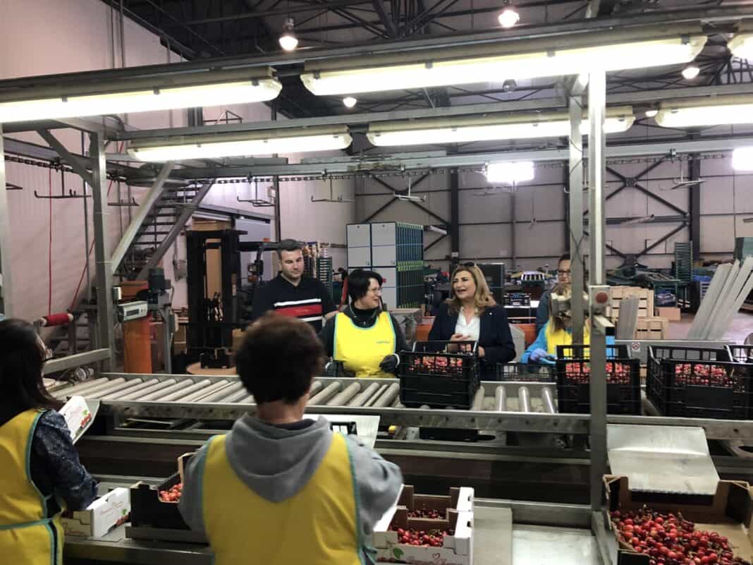 Β Ε. Λιακούλη: «Οι αγροτικοί συνεταιρισμοί στο παραγωγικό προσκήνιο»