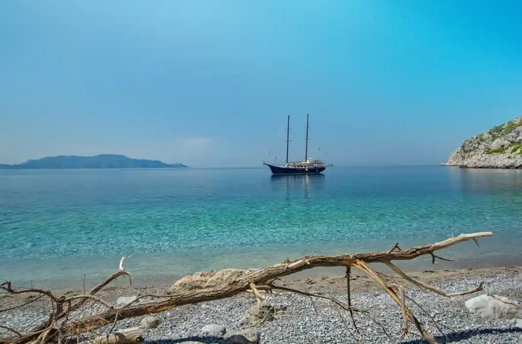 Πιπέρι - σποραδες