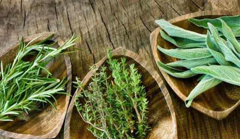 Φούσκωμα: Καταπολεμήστε το φυσικά με εννέα θαυματουργά βότανα