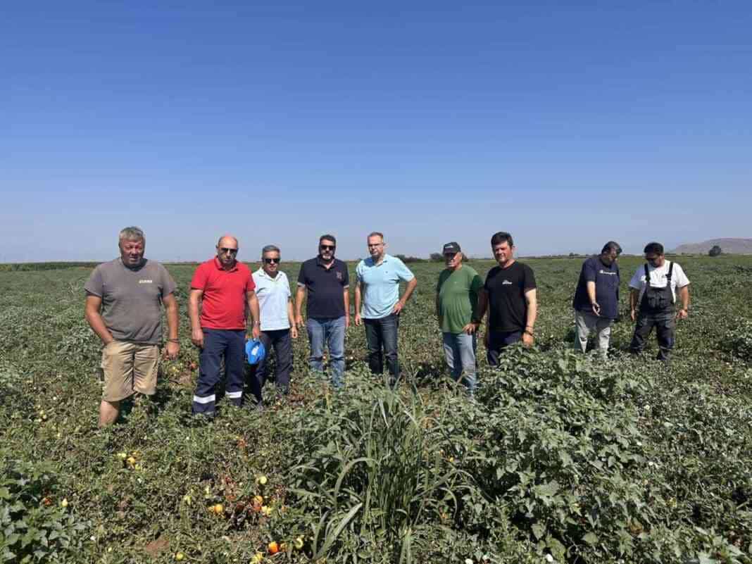 Η Περιφέρεια Θεσσαλίας συνεχίζει την καταγραφή ζημιών σε καλλιέργειες