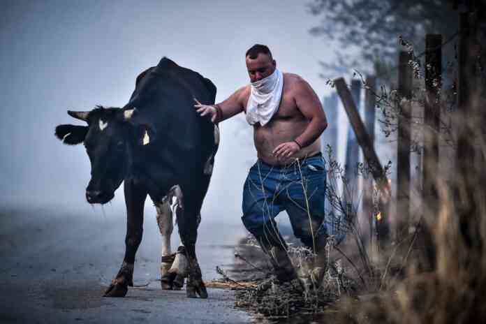 Βολος πυρκαγιά