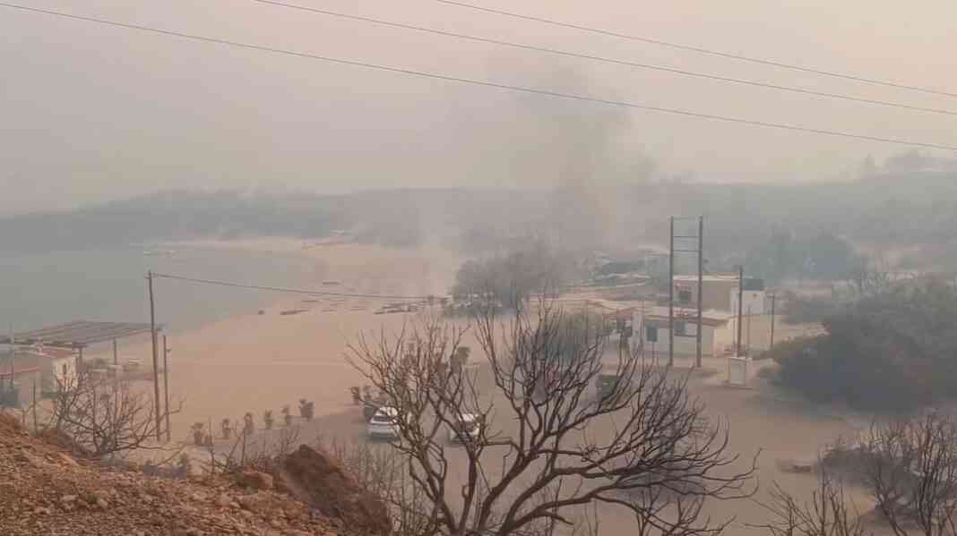 FB_IMG_1690111563994