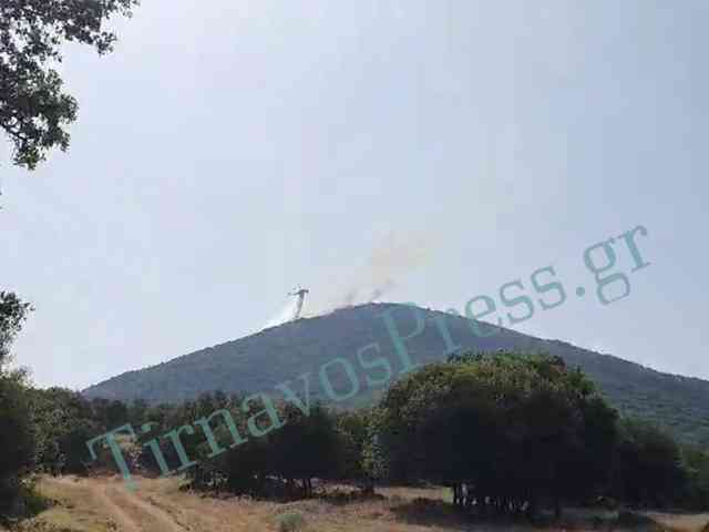 fotia2 Σε πλήρη εξέλιξη βρίσκεται η φωτιά στην περιοχή Λέκκα Τυρνάβου