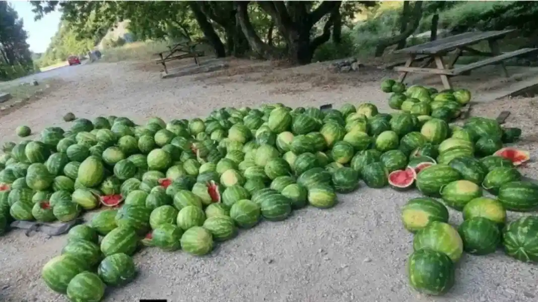 Αλεξανδρούπολη: Έκλεψε φορτηγό με καρπούζια