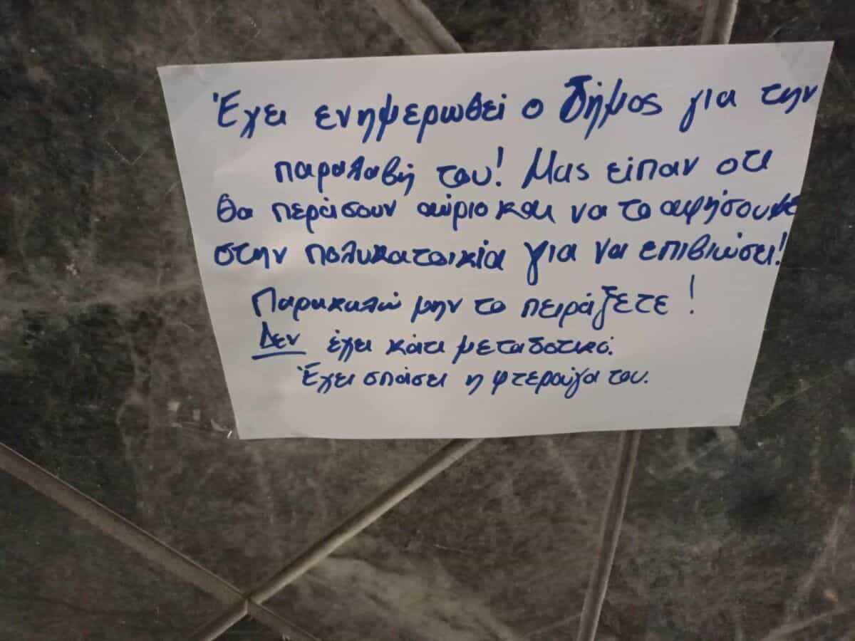Λαρισαιος πολίτης περιέθαλψε τραυματισμένο πουλί εν μέσω καύσωνα