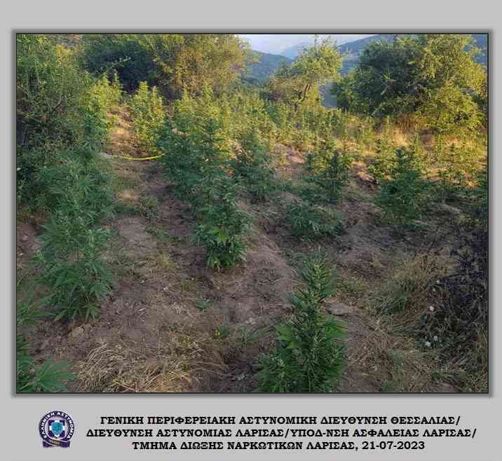 xasisofuteia turnavou (1)