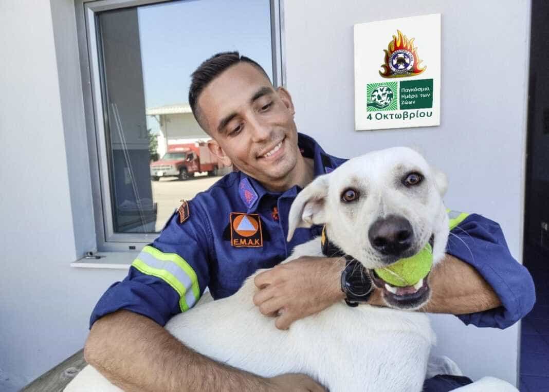 pyrosvestiki & skylos η Πυροσβεστική Υπηρεσία τιμάει την Παγκόσμια Ημέρα Σκύλου