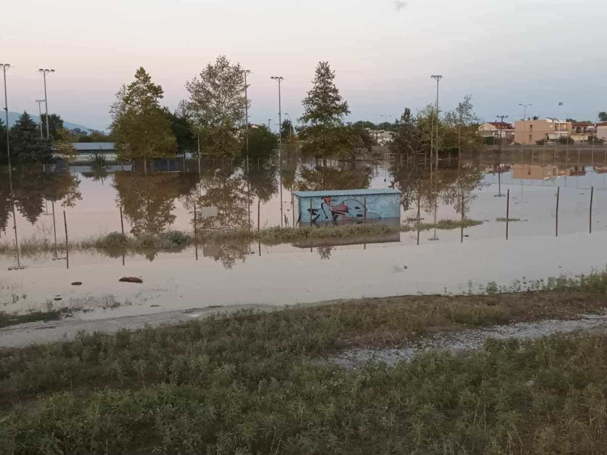 Καλογιάννης στον ΣΚΑΙ