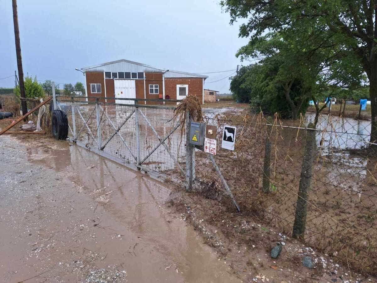 Μεγάλες καταστροφές σε επιχειρήσεις της πόλης από την κακοκαιρία