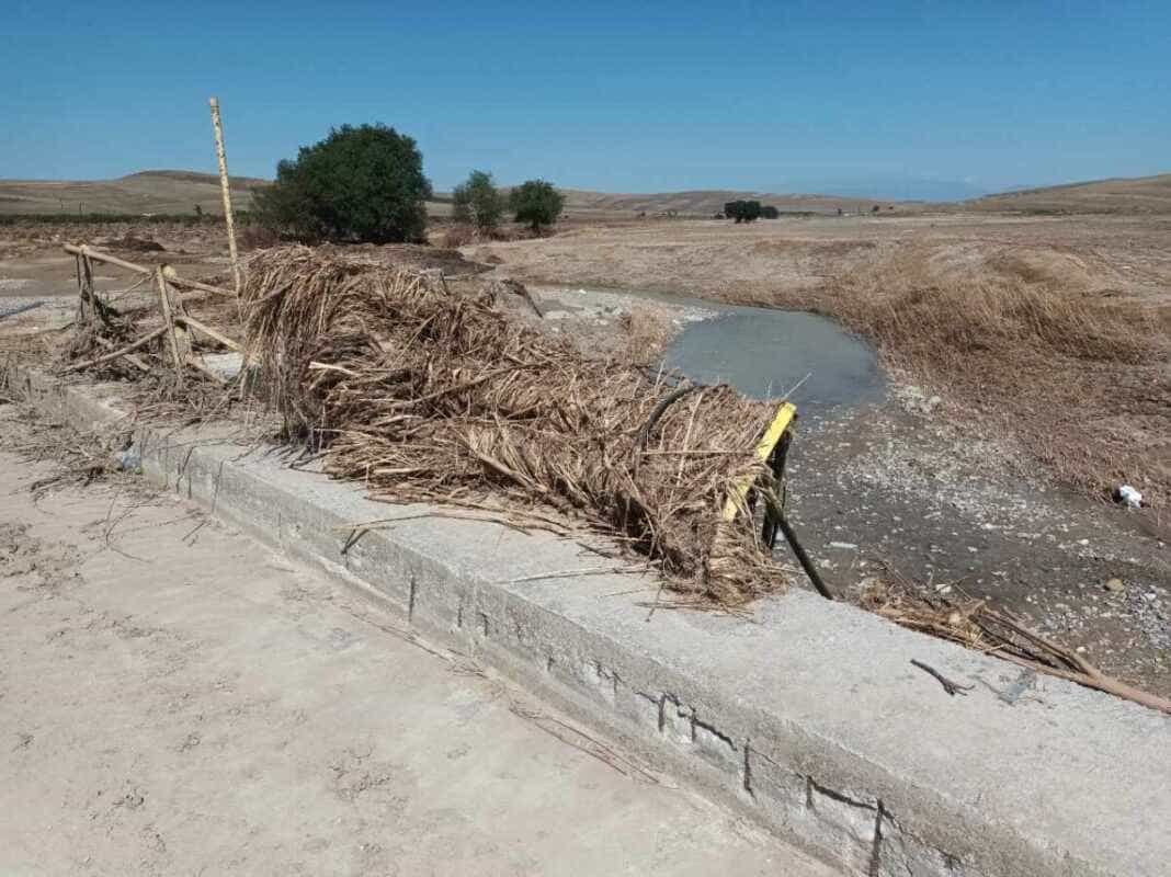 «Ανοίξτε τα ποτάμια. Ξεχάστε τα φράγματα»