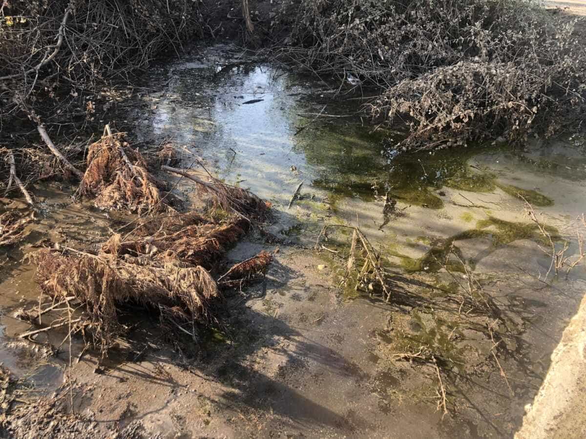 Κόκκαλης σε πληγέντες σε Κουλούρι και οδό Βόλου
