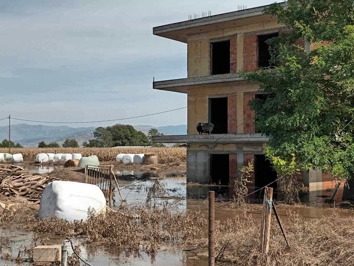 Κουλούρι Λάρισας: Η απόλυτη καταστροφή 