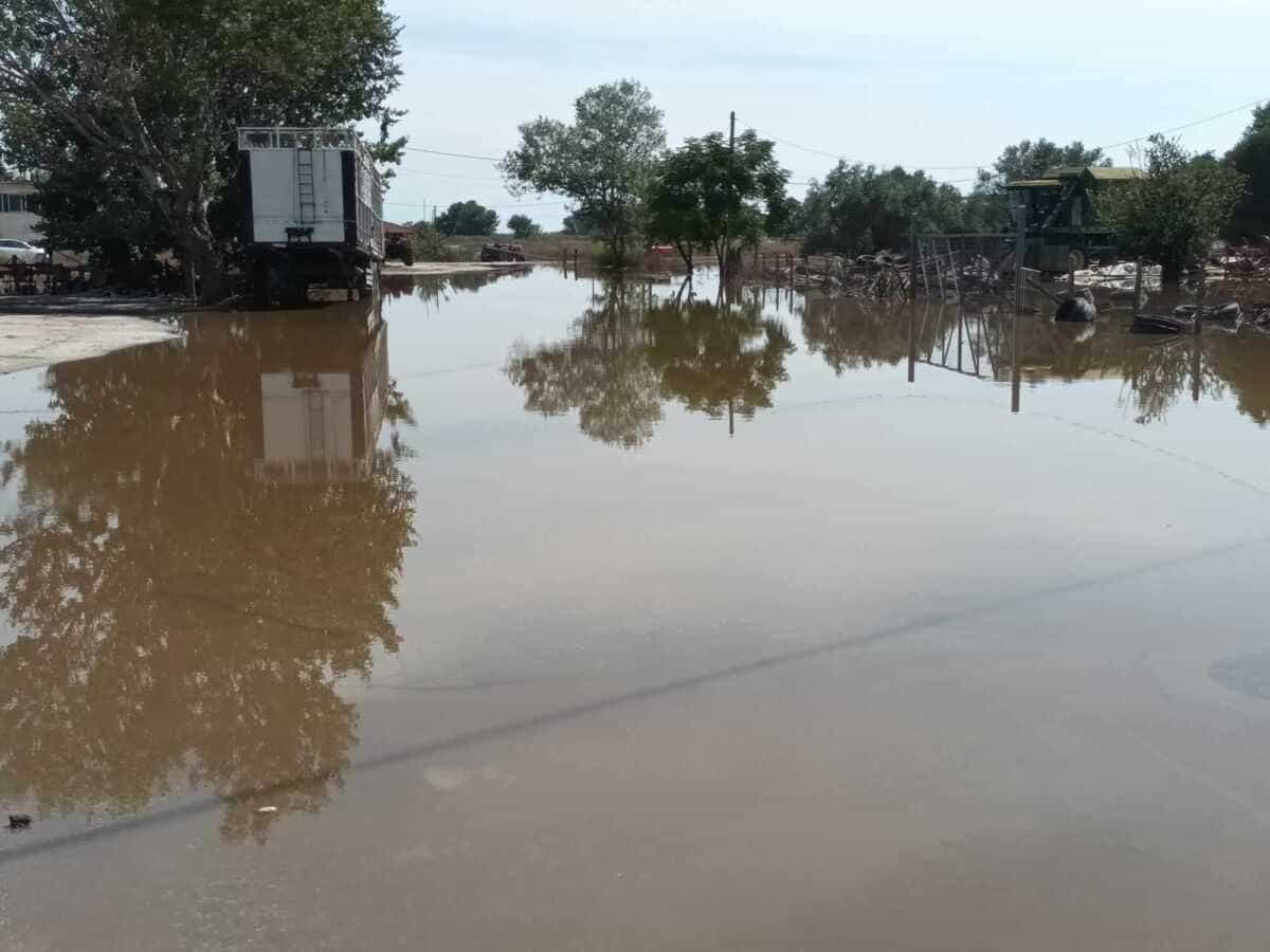 Κουλούρι Λάρισας: Η απόλυτη καταστροφή 