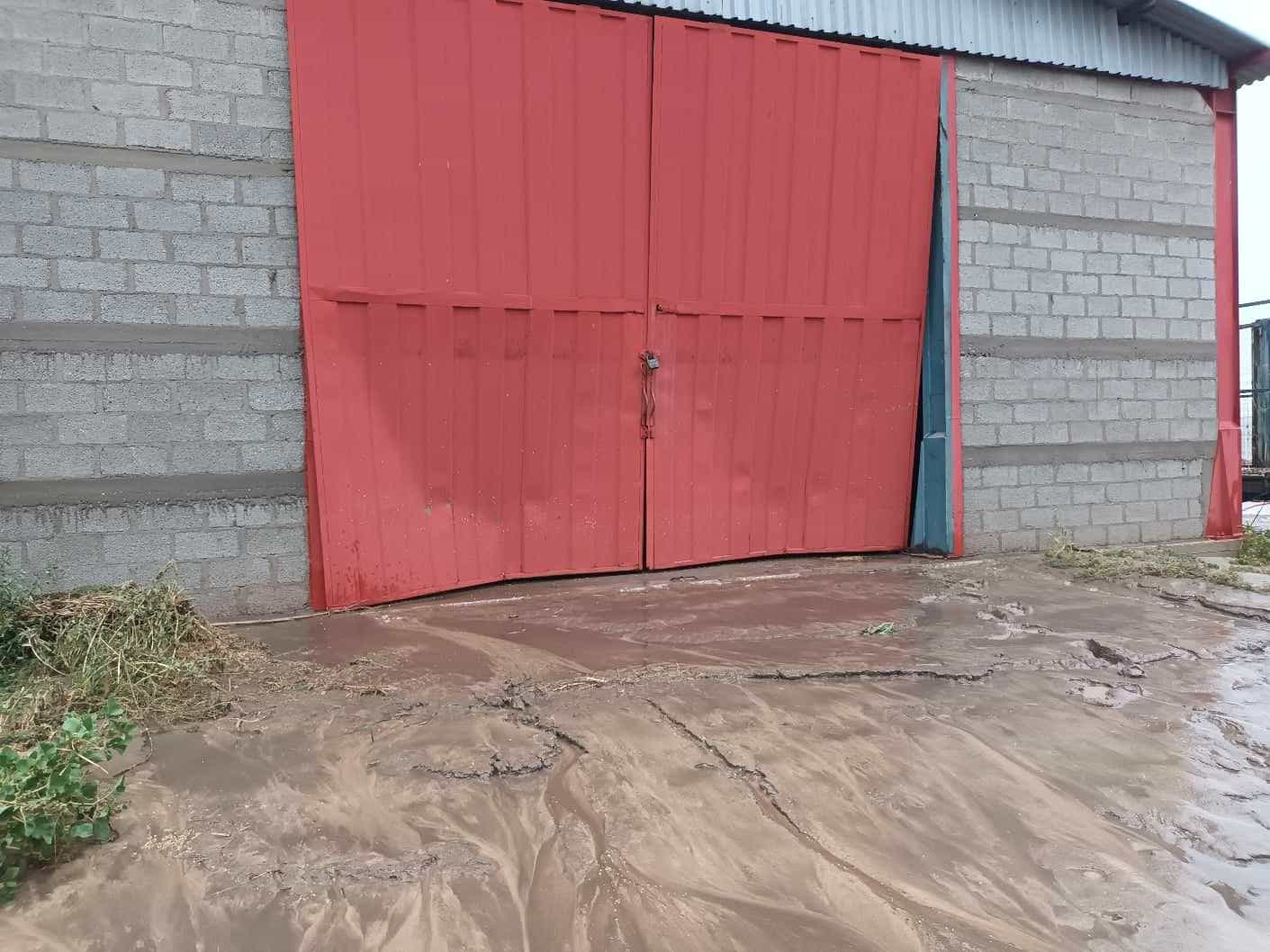 Λάρισα: Εικόνες βιβλικής καταστροφής στο χωριό Νέα Λεύκη