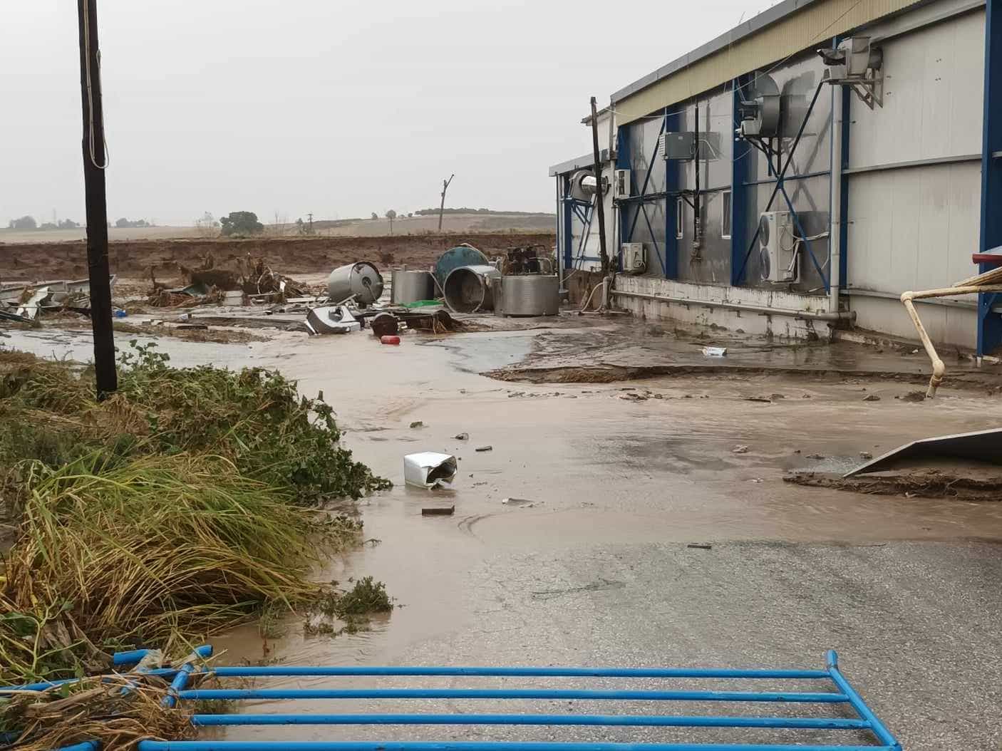 Λάρισα: Εικόνες βιβλικής καταστροφής στο χωριό Νέα Λεύκη