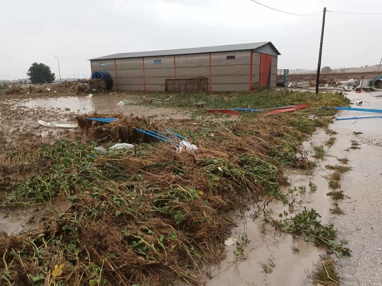 Λάρισα: Εικόνες βιβλικής καταστροφής στο χωριό Νέα Λεύκη