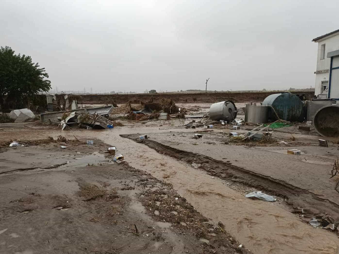 Λάρισα: Εικόνες βιβλικής καταστροφής στο χωριό Νέα Λεύκη